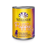 Wellness Complete Health Just For Puppy Pate Dog Food