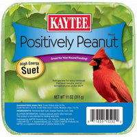 Kaytee Positively Peanut High Energy Mini Suet For Wildbirds, 11 Oz
