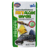 Hikari Mini Algae Wafers Fish Food